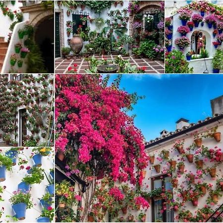 Apartamento Centrico En El Casco Historico De Córdoba Eksteriør bilde