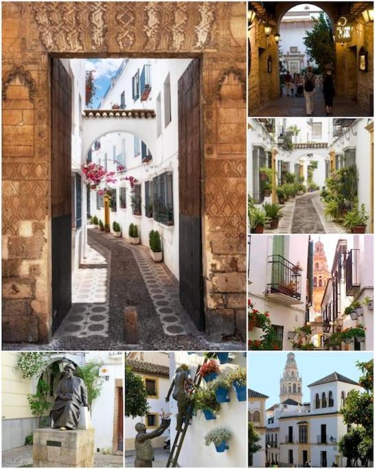 Apartamento Centrico En El Casco Historico De Córdoba Eksteriør bilde